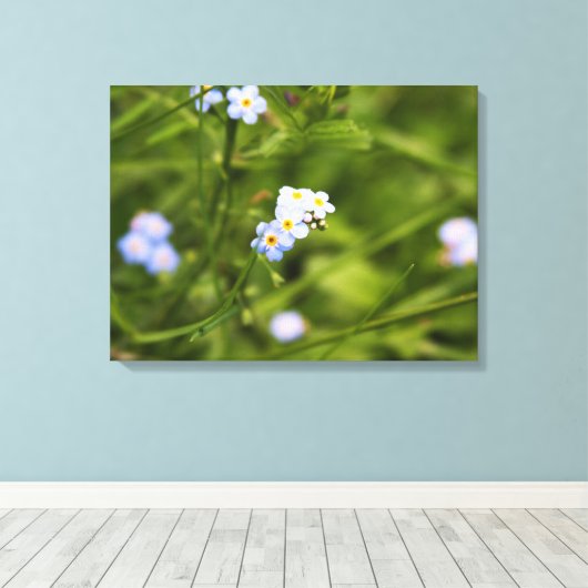 Asheville Wildflower Canvas Afdruk (Insitu (Houten vloer))