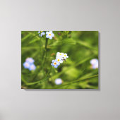 Asheville Wildflower Canvas Afdruk (Voorkant)