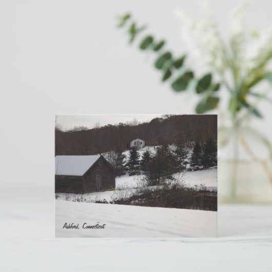 Ashford, Briefkaart Connecticut (Staand voorkant)