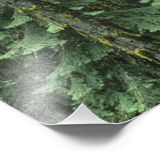 Ashland, Rogue RIver National Forest Foto Afdruk (Hoek)