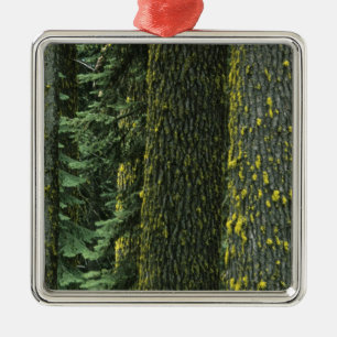 Ashland, Rogue RIver National Forest Metalen Ornament