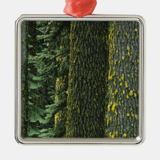 Ashland, Rogue RIver National Forest Metalen Ornament (Voorkant)