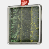 Ashland, Rogue RIver National Forest Metalen Ornament (Links)