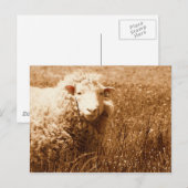 Ashley in Sepia Briefkaart (Voorkant / Achterkant)