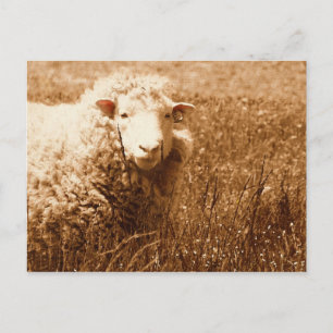 Ashley in Sepia Briefkaart