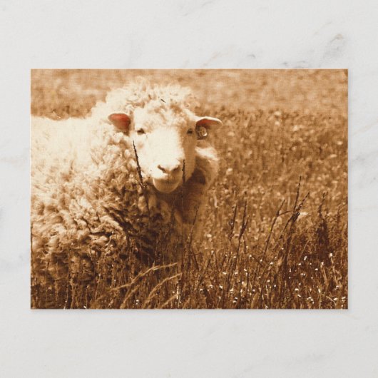 Ashley in Sepia Briefkaart (Voorkant)