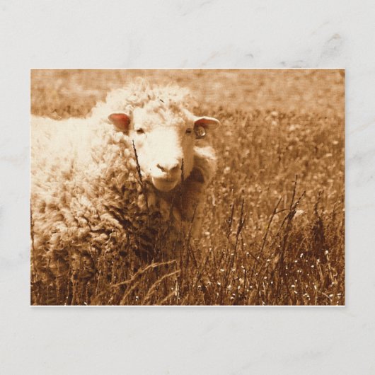 Ashley in Sepia Briefkaart (Voorkant)