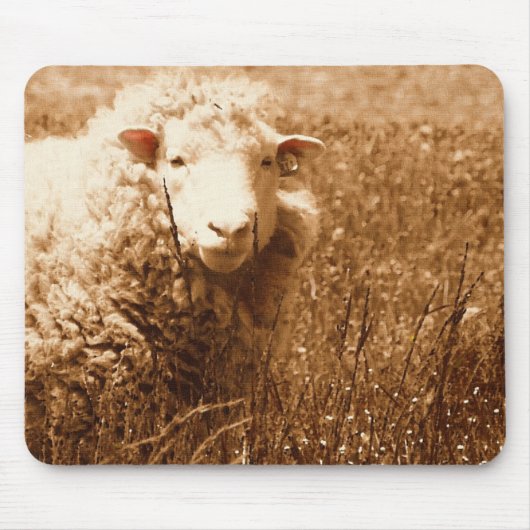 Ashley in Sepia Muismat (Voorkant)