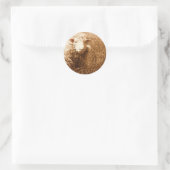 Ashley in Sepia Ronde Sticker (Tas)