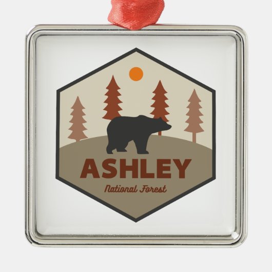 Ashley National Forest Beer Metalen Ornament (Voorkant)