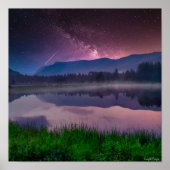 Ashley National Forest Poster (Voorkant)