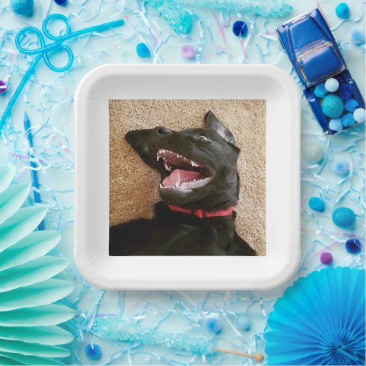 Ashley Noms Borden Papieren Bordje (Feest)