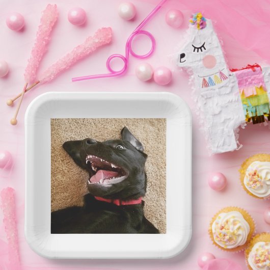 Ashley Noms Borden Papieren Bordje (Feest)