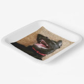 Ashley Noms Borden Papieren Bordje (Gebogen)