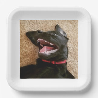 Ashley Noms Borden Papieren Bordje