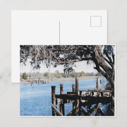 Ashley River Charleston Briefkaart (Voorkant / Achterkant)