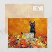Ashlynn's herfst - Briefkaart Cat / Kitten (Voorkant / Achterkant)