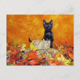 Ashlynn's herfst - Briefkaart Cat / Kitten