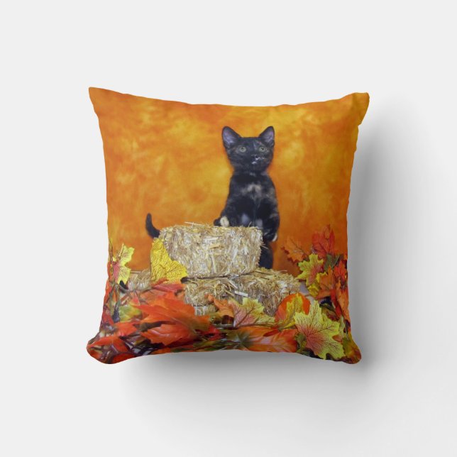 Ashlynn's Herfst Kussen  ( Kat / Kitten) (Voorkant)