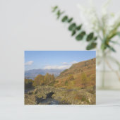 Ashness Bridge, Lake District, Cumbria, Engeland Briefkaart (Staand voorkant)