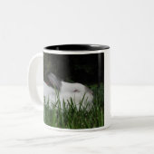 Ashton Tweekleurige Koffiemok (Voorkant links)