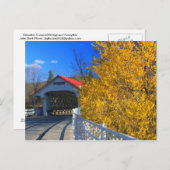 Ashuelot bedekte brug forsythia briefkaart (Voorkant / Achterkant)