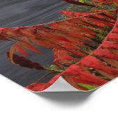 Ashuelot Covered bridge van 159 meter hoogte Poster (Hoek)