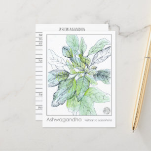 Ashwagandha Materia Medica Herbal Study Kaart