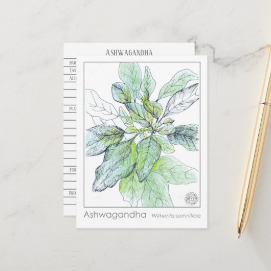 Ashwagandha Materia Medica Herbal Study Kaart (Voorkant / Achterkant in situ)