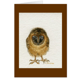 Ashy Faced Barn Owl