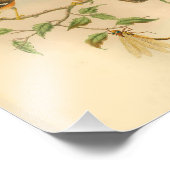 Ashy Fronted Flycatcher Oranje Vogel  Print Foto Afdruk (Hoek)