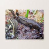 Ashy-Gray Slug Foto Puzzle met Gift Box Legpuzzel (Horizontaal)
