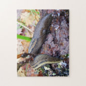 Ashy-Gray Slug Foto Puzzle met Gift Box Legpuzzel (Verticaal)