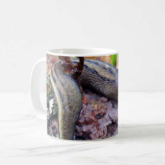 Ashy-Grey Slug Bug Mok (Voorkant links)