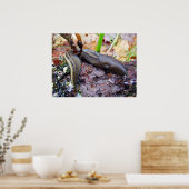 Ashy-Grey Slug Poster (Keuken)