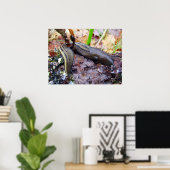 Ashy-Grey Slug Poster (Thuiskantoor)