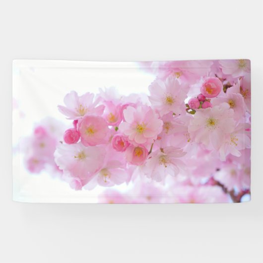 Asia Cherry Tree Blossom Spandoek (Horizontaal)