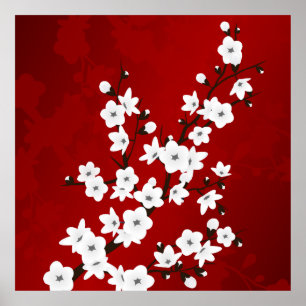 Asia Floral White Cherry Blossom Red Poster