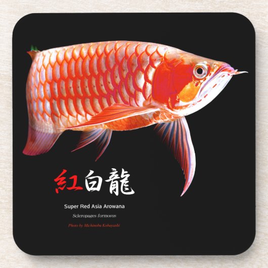 Asian Arowana の 良 製 品 Bier Onderzetter (Voorkant)