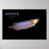 Asian Arowana "Blue Type" Poster (Voorkant)
