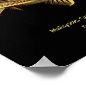 Asian Arowana "Golden Type"の ス ー Poster (Hoek)