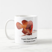 Asian Arowana Koffiemok (Links)