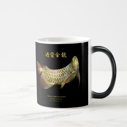 Asian Arowana Magische Mok (Rechts)