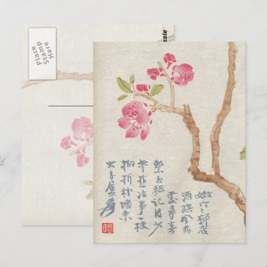 Asian Cherry Blossom  Briefkaart (Voorkant / Achterkant)