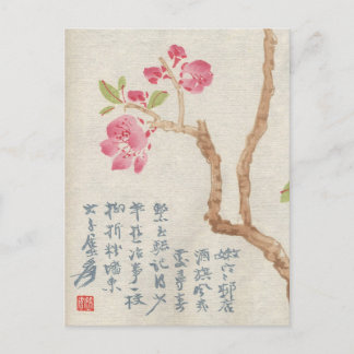 Asian Cherry Blossom Briefkaart
