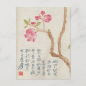 Asian Cherry Blossom  Briefkaart (Voorkant)