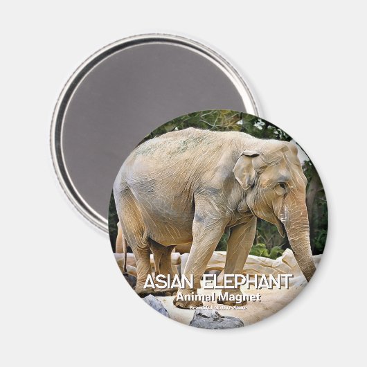 Asian Elephant Magneet (Voorkant / Achterkant)