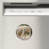 Asian Elephant Magneet (Insitu (Vaatwasser))