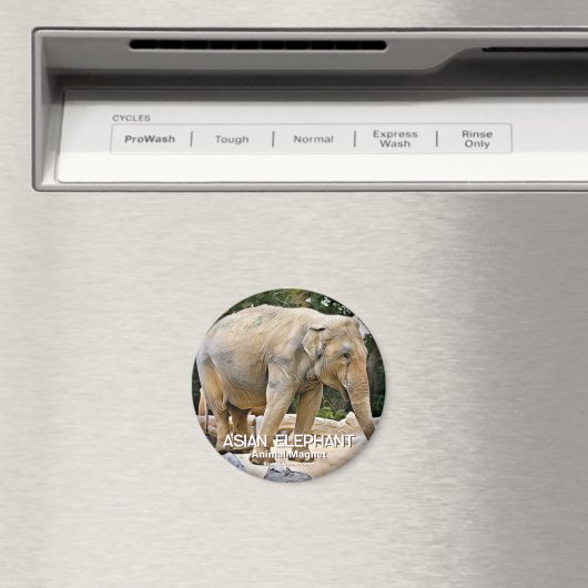 Asian Elephant Magneet (Insitu (Vaatwasser))