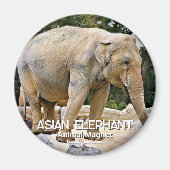 Asian Elephant Magneet (Voorkant)